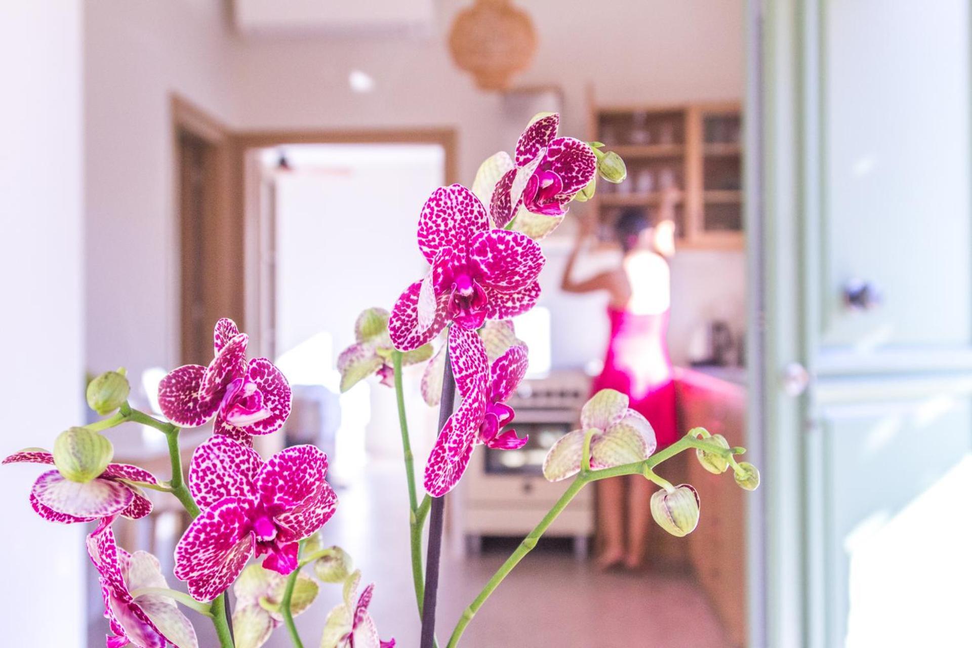 Petra Boutique Villas Arginonda Værelse billede
